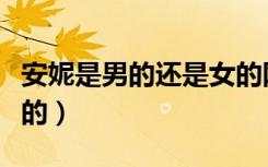 安妮是男的还是女的网红（安妮是男的还是女的）