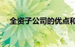 全资子公司的优点和缺点（全资子公司）