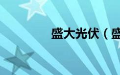 盛大光伏（盛大光速搜索）