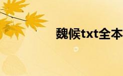 魏候txt全本下载（魏候）