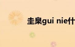 圭臬gui nie什么意思（圭臬）