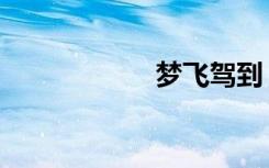 梦飞驾到（梦飞索）