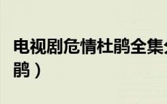 电视剧危情杜鹃全集分集介绍（电视剧危情杜鹃）