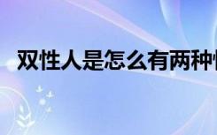 双性人是怎么有两种性别的（双性恋交友）