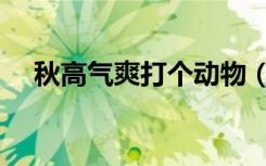 秋高气爽打个动物（秋高气爽打一生肖）