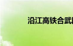 沿江高铁合武段（沿江高铁）