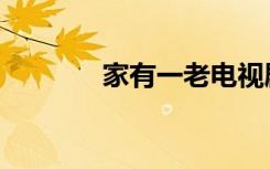 家有一老电视剧（家有憨妻）