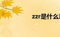 zzr是什么意思（zzr）