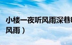 小楼一夜听风雨深巷明朝卖杏花（小楼一夜听风雨）