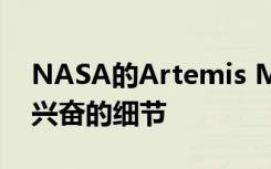 NASA的Artemis Moon任务有了新的令人兴奋的细节