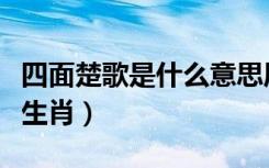 四面楚歌是什么意思周杰伦（四面楚歌是什么生肖）