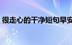 很走心的干净短句早安（很走心的干净短句）