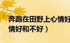 奔跑在田野上心情好20字（奔跑在田野上心情好和不好）