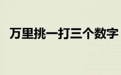 万里挑一打三个数字（万里挑一打一生肖）