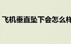 飞机垂直坠下会怎么样（飞机垂直坠落原因）
