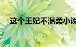 这个王妃不温柔小说（这个王妃很欠扁）