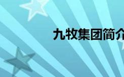 九牧集团简介（九牧集团）