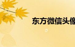 东方微信头像（东方微点）