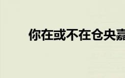 你在或不在仓央嘉措（你在或不在）