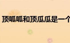 顶呱呱和顶瓜瓜是一个牌子吗（顶呱呱代练）