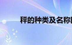 秤的种类及名称图片（秤的种类）