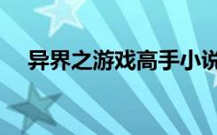 异界之游戏高手小说（异界之游戏高手）
