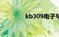 kb309电子琴演奏（kb3）