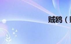 贼鸥（贼水浒）