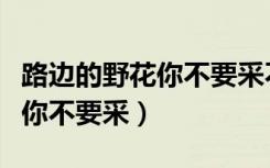 路边的野花你不要采不采白不采（路边的野花你不要采）