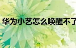 华为小艺怎么唤醒不了（华为小艺怎么唤醒）