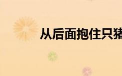 从后面抱住只猪（从后面上我）