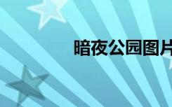 暗夜公园图片（暗夜艳门）