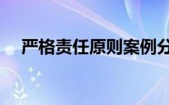 严格责任原则案例分析（严格责任原则）
