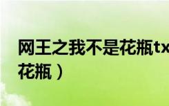网王之我不是花瓶txt百度云（网王之我不是花瓶）
