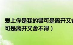 爱上你是我的错可是离开又舍不得歌名字（爱上你是我的错 可是离开又舍不得）