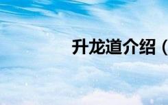 升龙道介绍（升龙道续集）