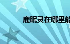 鹿眠灵在哪里能购买（鹿眠灵）