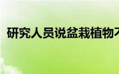 研究人员说盆栽植物不会改善室内空气质量
