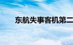 东航失事客机第二名副驾驶身份确认