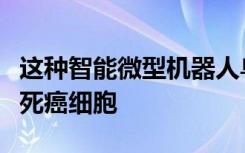 这种智能微型机器人鸟可以在血流中导航并杀死癌细胞