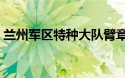 兰州军区特种大队臂章（兰州军区特种大队）