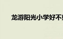 龙游阳光小学好不好（龙游阳光小学）