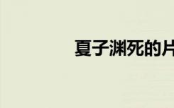 夏子渊死的片段（夏子渊）