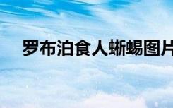 罗布泊食人蜥蜴图片（罗布泊食人蜥蜴）