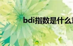 bdi指数是什么意思（bdi指数）