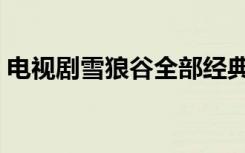 电视剧雪狼谷全部经典视频（电视剧雪狼谷）