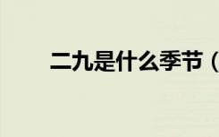 二九是什么季节（二九是什么节气）