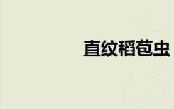 直纹稻苞虫（直纹曲面）