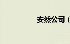 安然公司（安然音环）