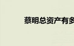 蔡明总资产有多少（蔡明资料）
